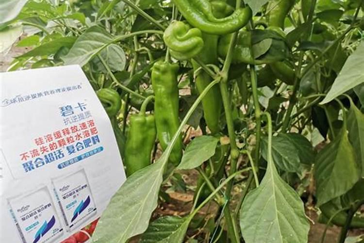 进口十大水溶肥品牌