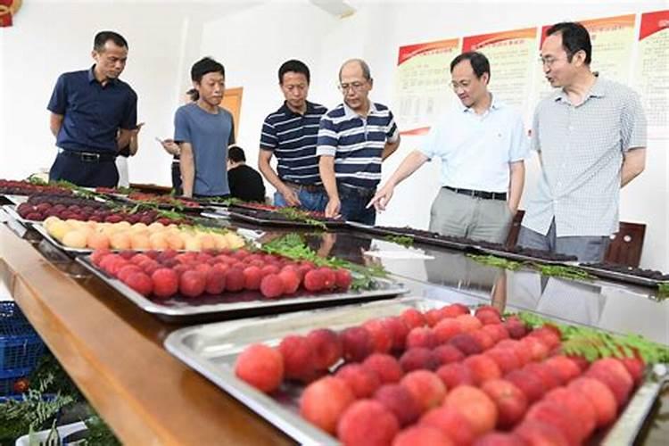 先正达带有妙字的叶面肥有哪些