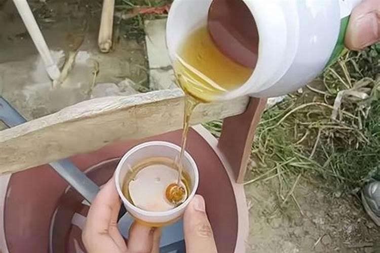 四季豆出苗后施什么肥