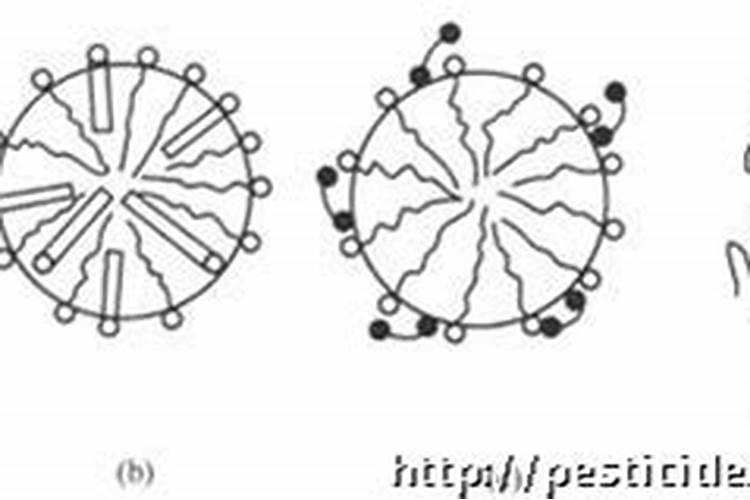 常见的农药助剂主要有哪些