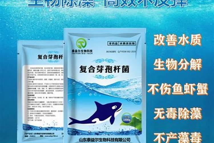 蓝藻的前世今生和来龙去脉:采取综合防控方法,才能彻底有效解决问题...
