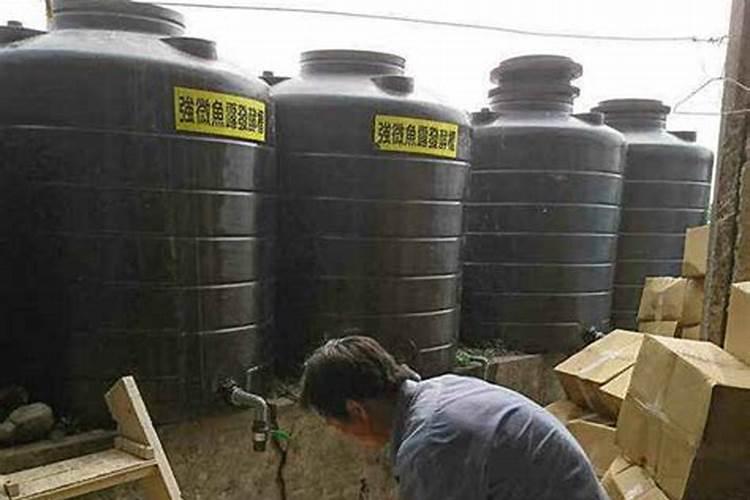 对虾有蓝藻和水面有很多泡沫怎么处理