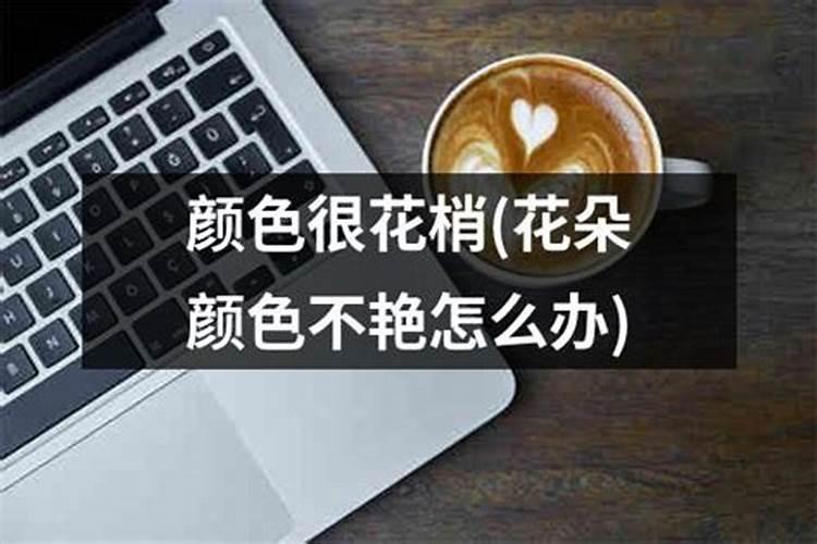 养花施什么肥效果最好养花用什么肥料最好怎样养好花