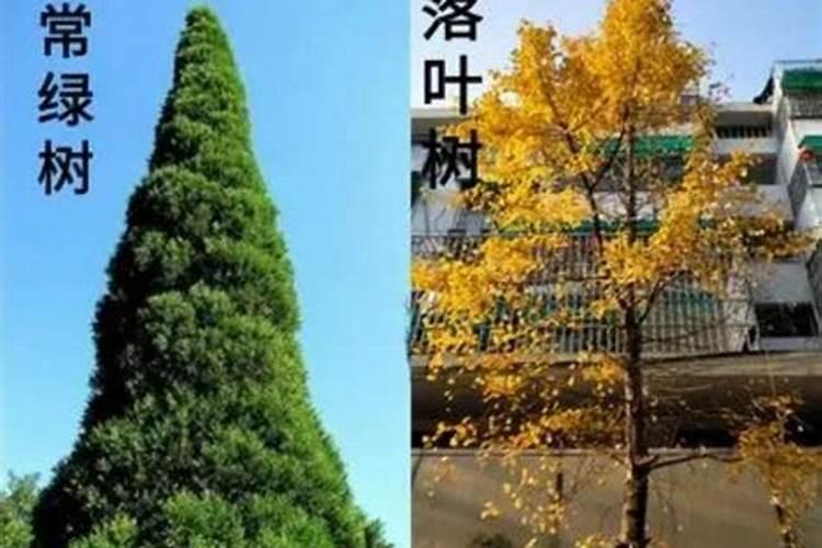 急~~~海宁市绿化养护标准是什么？？