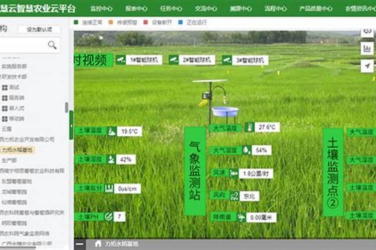 广西喷施宝叶面肥怎样