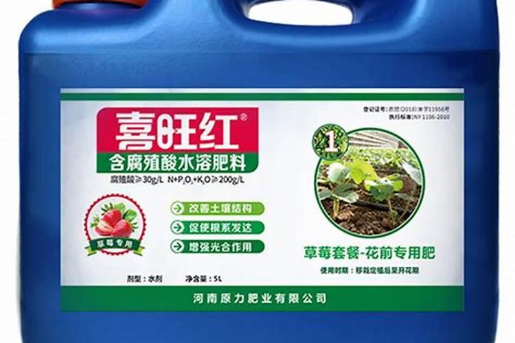 菊花施肥方法,用什么肥好