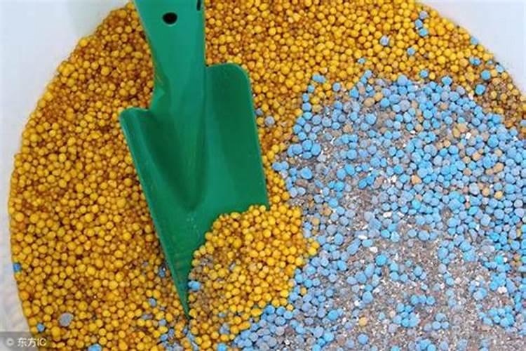 大豆追肥的最佳时期