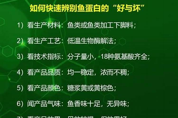 网上卖的桶装鱼蛋白都是真的吗