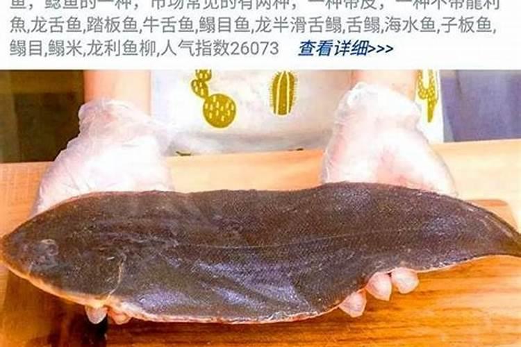 目前国内鱼蛋白肥料哪家比较好？