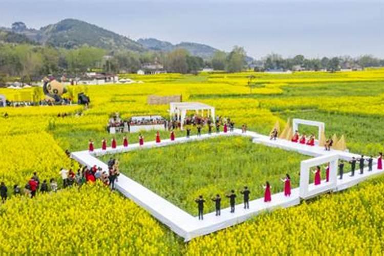 种水稻用什么肥料最好