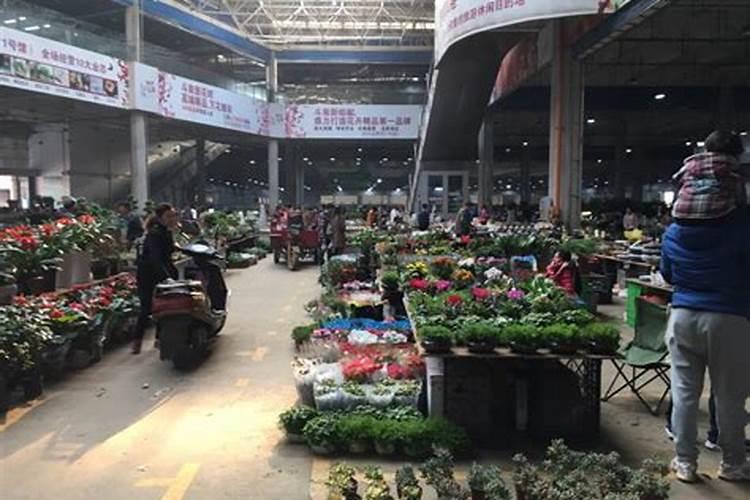 种植大田玉米一按好还是二按好？