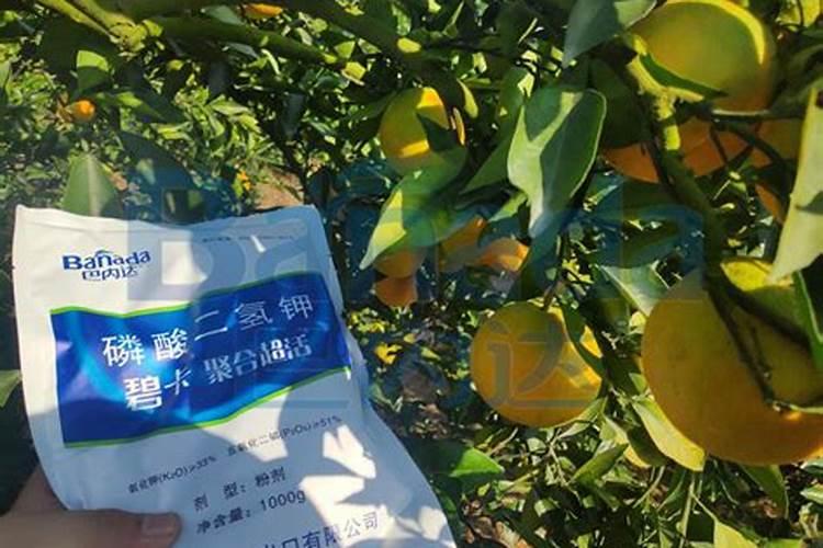 盆栽种植草莓用什么肥料