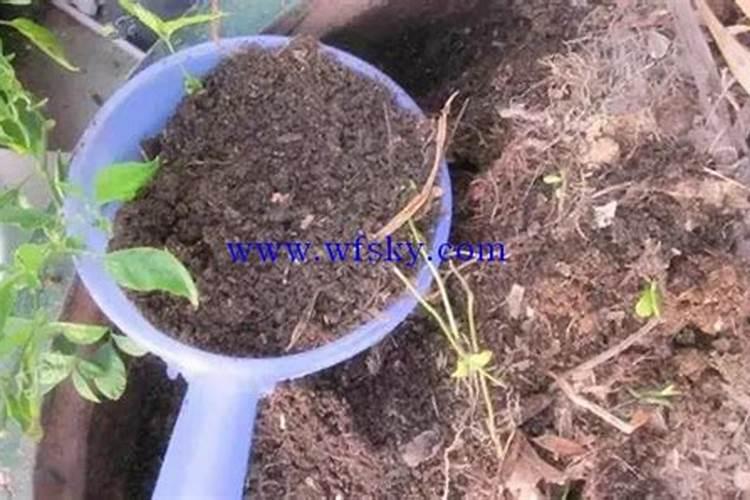 地里烂西瓜可以当成肥料用吗
