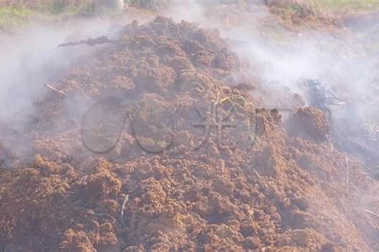 农村人为什么喜欢用粪水去浇菜,却被院士质疑这蔬菜能吃吗？