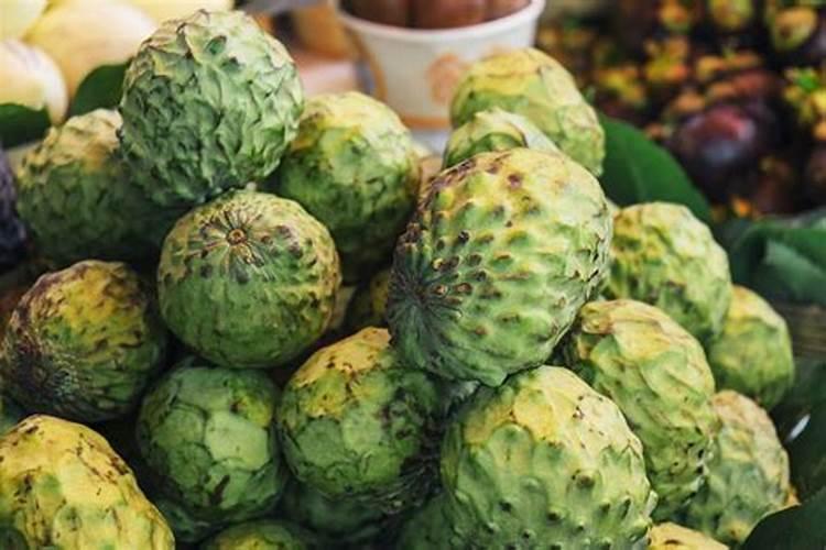 葡萄膨果期用什么肥料,种植葡萄该如何施肥