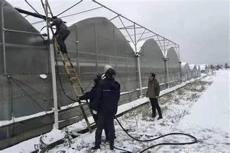 氨基酸叶面肥降温前喷还是后喷