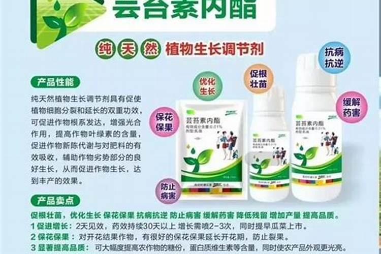 森林火灾蔓延有哪些规律