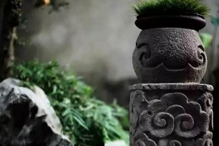 c施什么肥最好