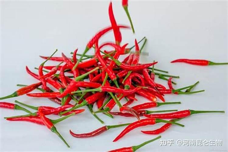 公园里有黑色小可粒撒在小草上的肥料,这些肥料能施吃的菜苗吗？