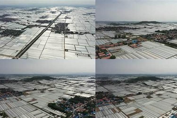 叶面肥哪种最适合蔬菜使用