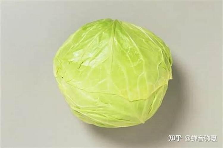 多肉植物怎么施肥,施什么肥