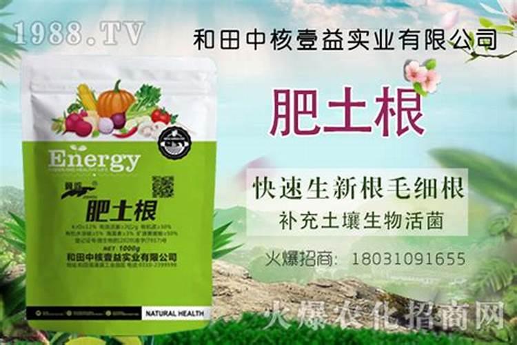 生姜浇什么肥料合适