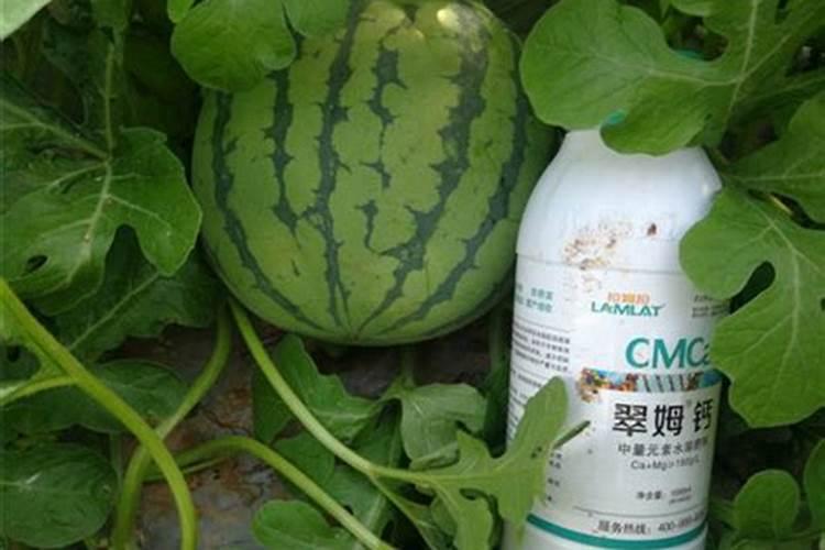 磷肥过量对土壤的危害