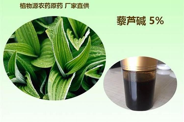 樱桃树叶子都掉了,是什么原因啊!什么办,看着像是虫子咬的,可又没看到...
