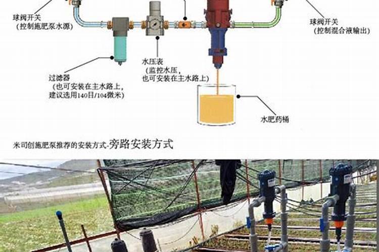 艾叶的种植方法和时间