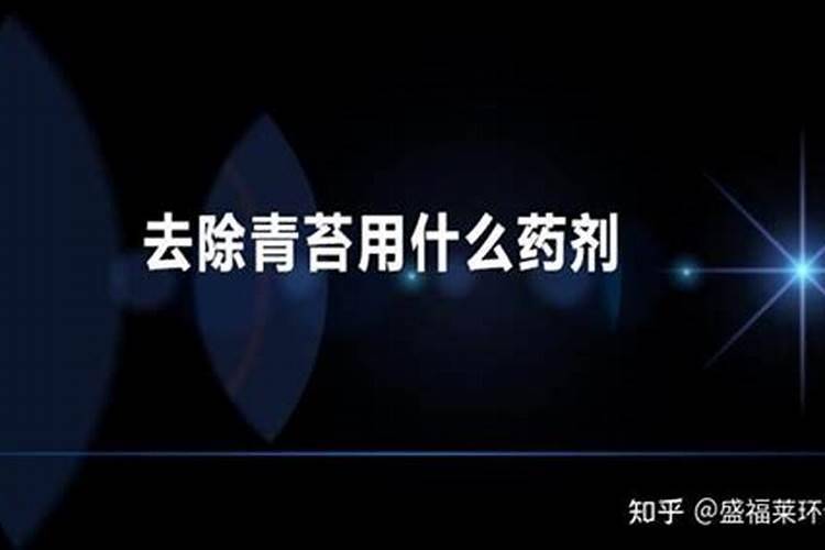 鱼池长青苔最好的方法