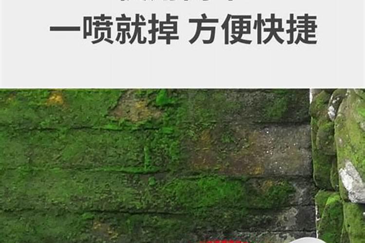 虾稻田青苔怎么清除 虾稻田肥水用什么肥料