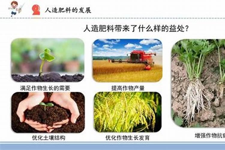 新型肥料可以推进农业可持续发展吗？其重要途径是什么？