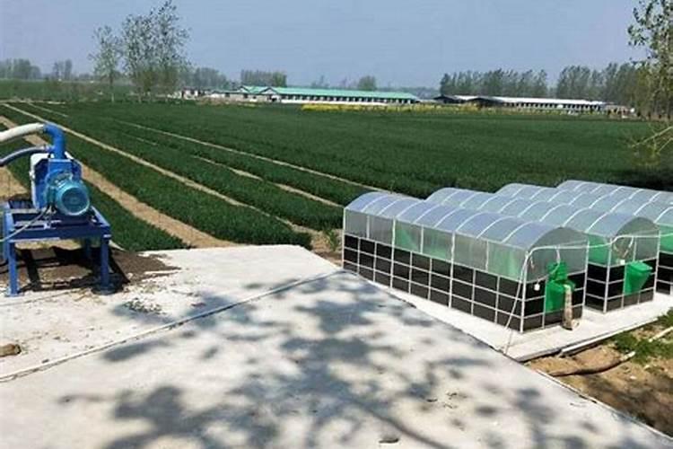 有什么办法可以让粪便重新得到利用
