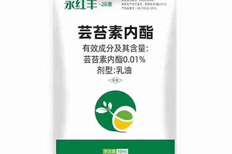甜瓜喷芸苔素内酯有什么作用