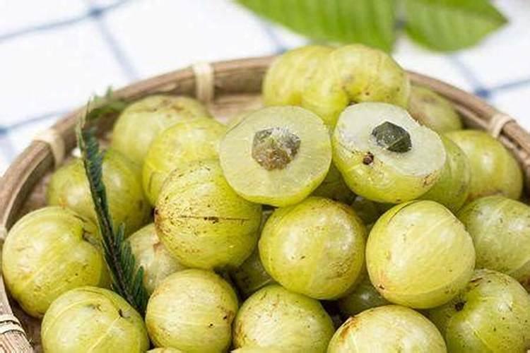 油柑什么时候施肥最好？