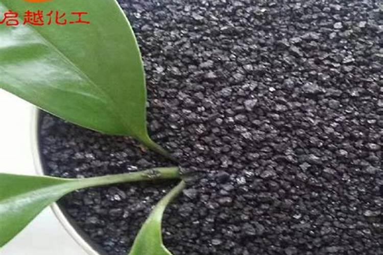 枣树什么时候施肥最好 枣树的施肥时间