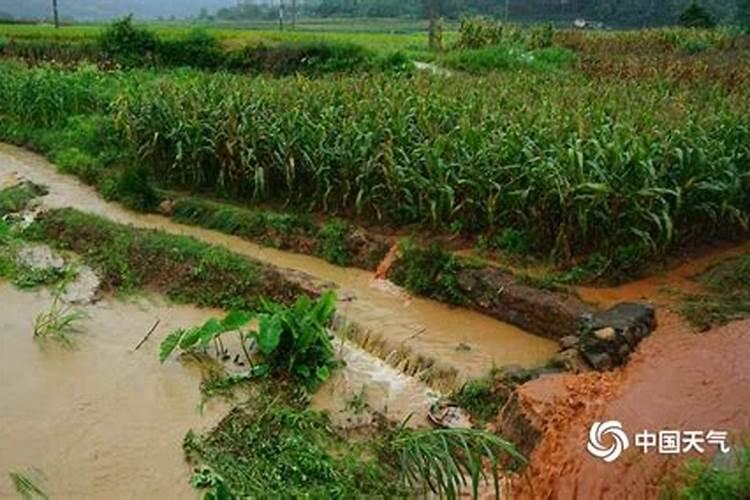 尿素撒施后过几小时下大雨好