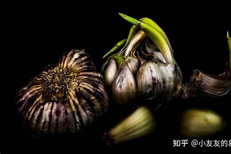 大蒜什么时候收获