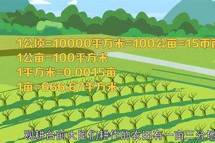 一亩地玉米究竟要施多少化肥