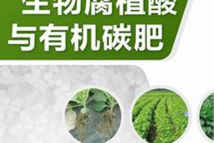 这几年悄然兴起的碳肥,到底是什么？真的那么好吗