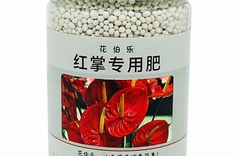 家里养花,只要准备3种肥料就够了