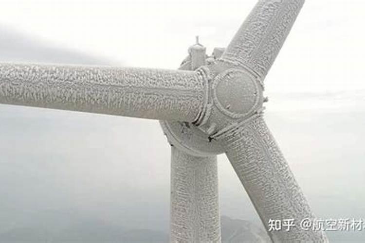 茶树被霜冻怎么办