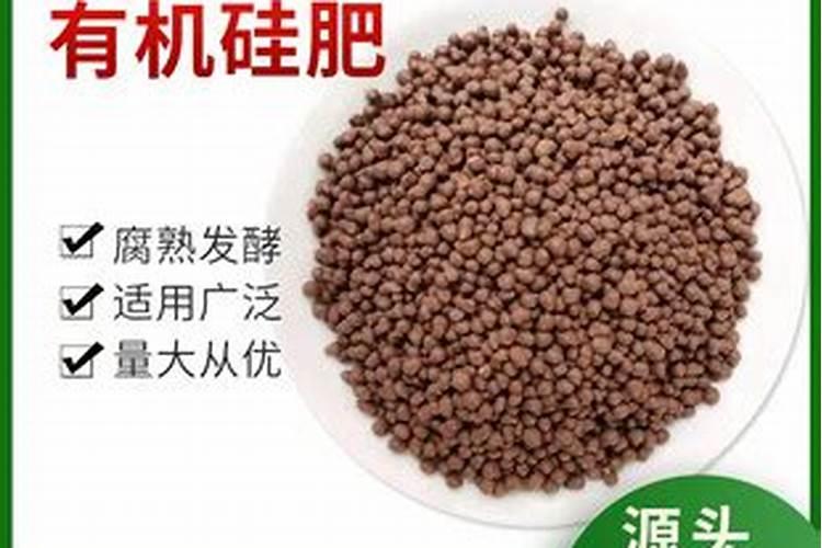 绿色蔬菜可以使用的农药有哪些