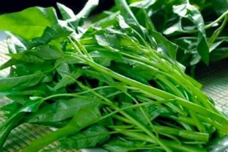 立秋之后6种菜可以种植简单易管理 11月采收菜农不要错过了