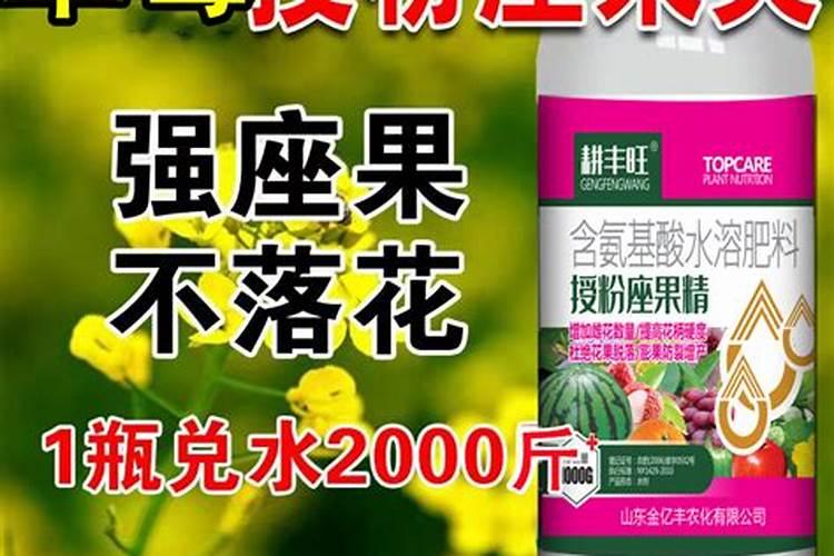草莓花期可以施肥吗