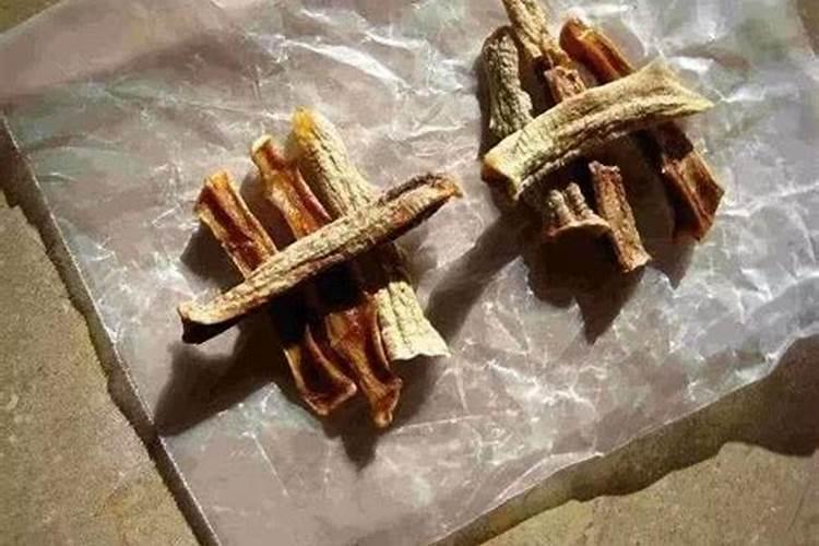 怎么进真果粒积分网站