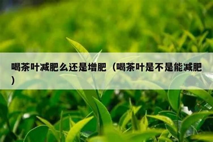 芸苔素喷后几天见效