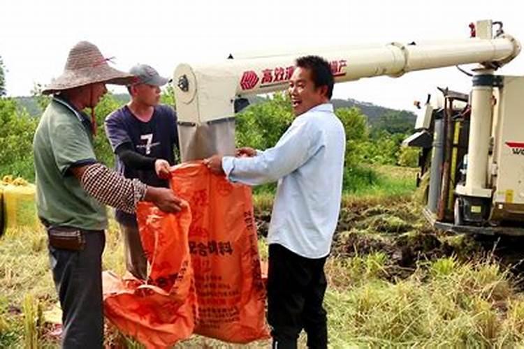 硫酸钾复合肥溶于水吗？可以用作水溶肥吗？