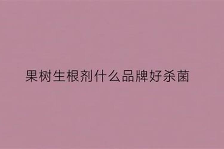 果树移栽后多久生根