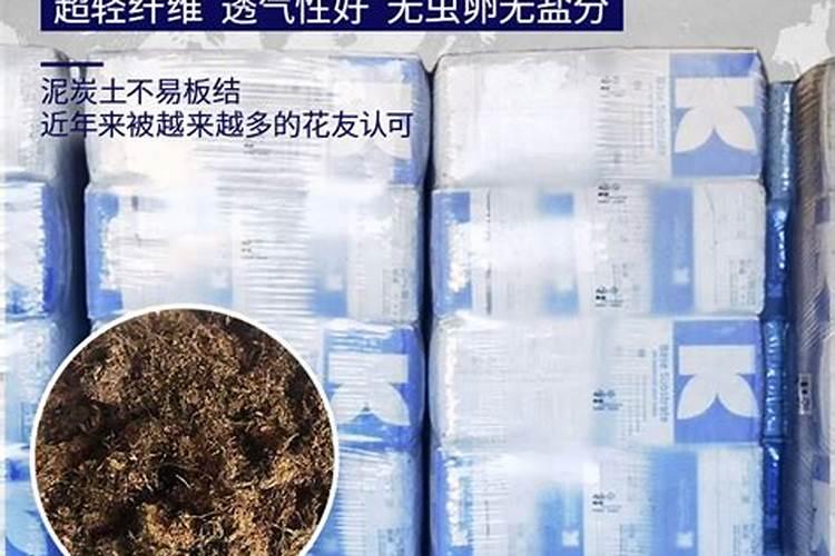月季梅雨季节怎么施肥？